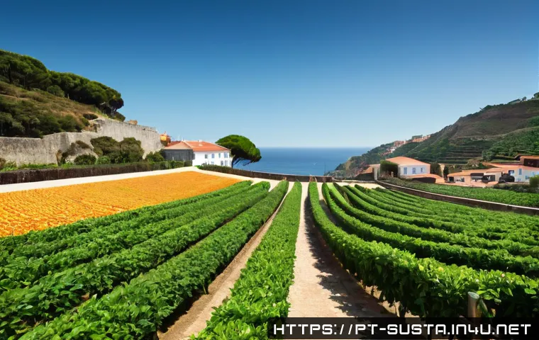 Como Preparar a Sua Empresa para uma Certificação de Sustentabilidade: Etapas, Custos e Critérios 4 지속가능성 인증 절차 및 과정 관련 이미지 2